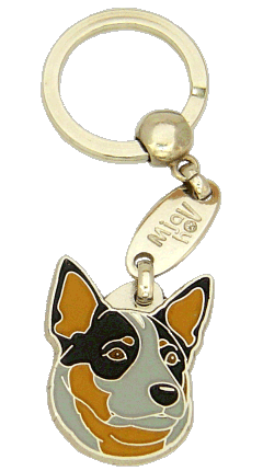 AUSTRALIAN CATTLEDOG BLÅ - pet ID tag, dog ID tags, pet tags, personalized pet tags MjavHov - engraved pet tags online